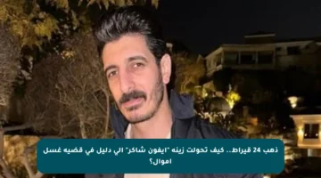 ذهب 24 قيراط.. كيف تحولت زينة “آيفون شاكر” إلى دليل في قضية غسل أموال؟